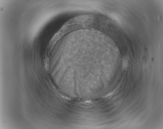 X0000073890431200609082127