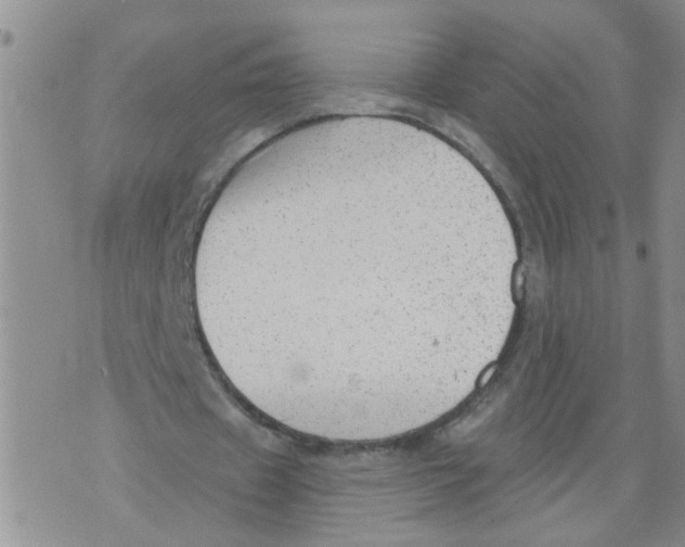 X0000073890433200609082127