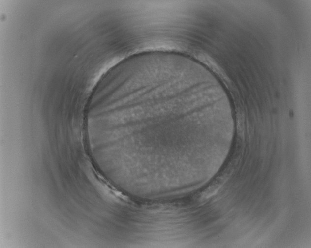 X0000073890434200609082127