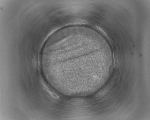 X0000073890435200609082127