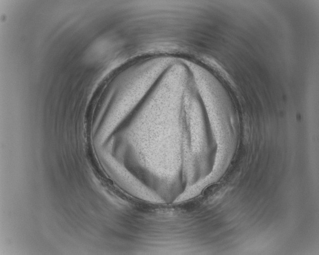 X0000073890439200609082127