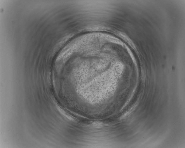 X0000073890441200609082127