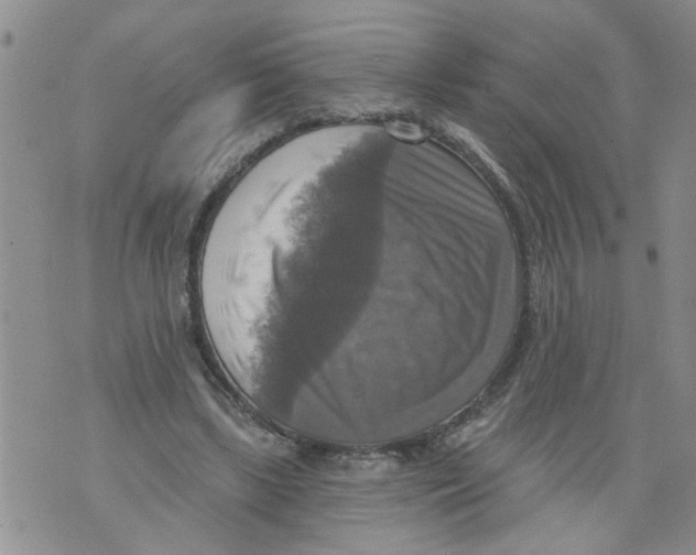 X0000073890443200609082127