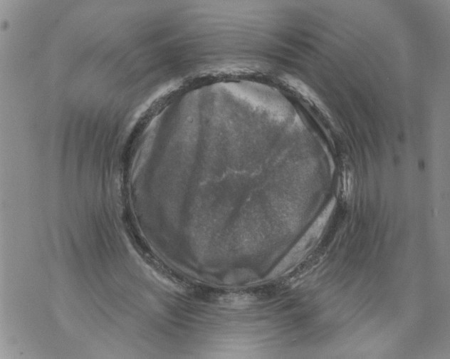 X0000073890444200609082127