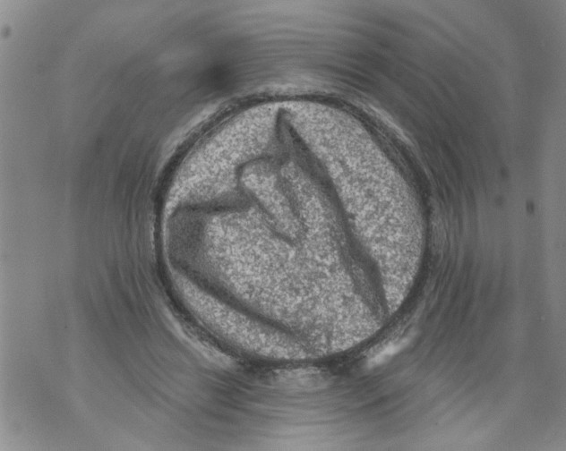 X0000073890446200609082127