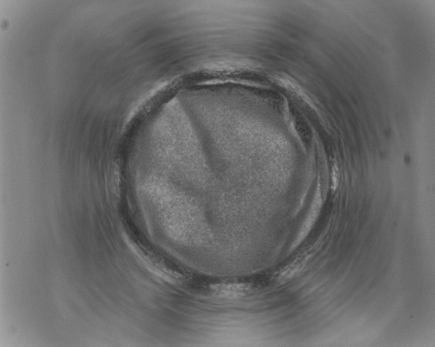 X0000073890448200609082127