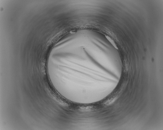 X0000073890450200609082127