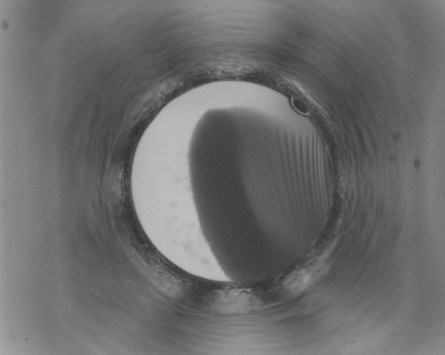 X0000073890451200609082127