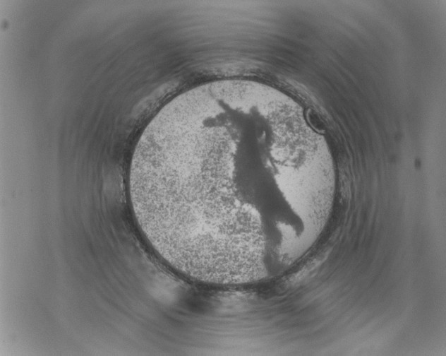 X0000073890453200609082127