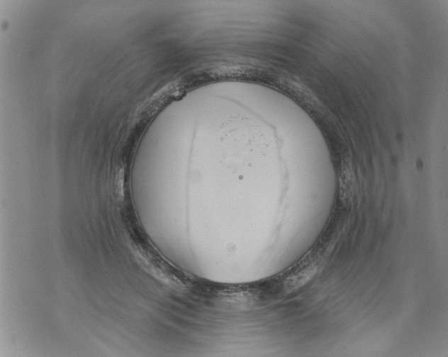 X0000073890454200609082127