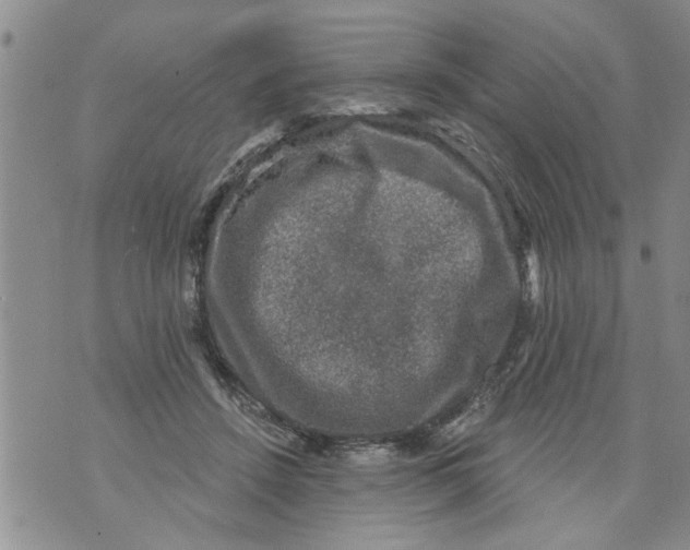 X0000073890456200609082127