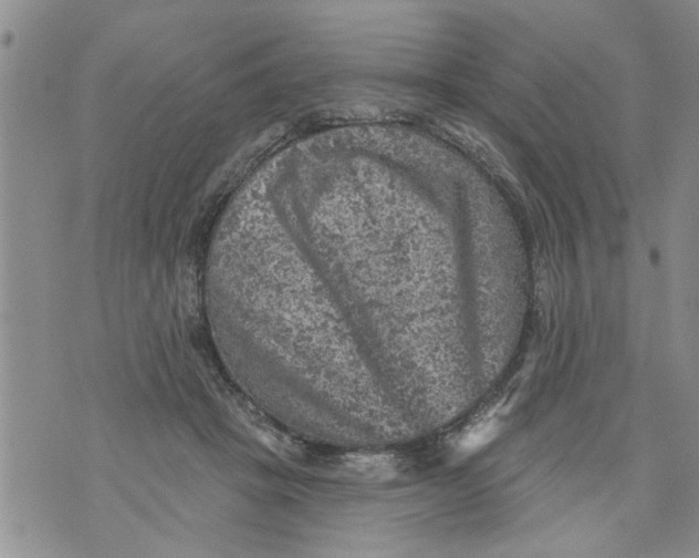 X0000073890457200609082127