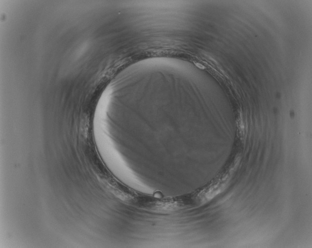 X0000073890458200609082127