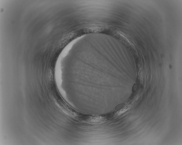 X0000073890459200609082127