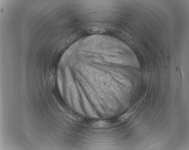 X0000073890460200609082127