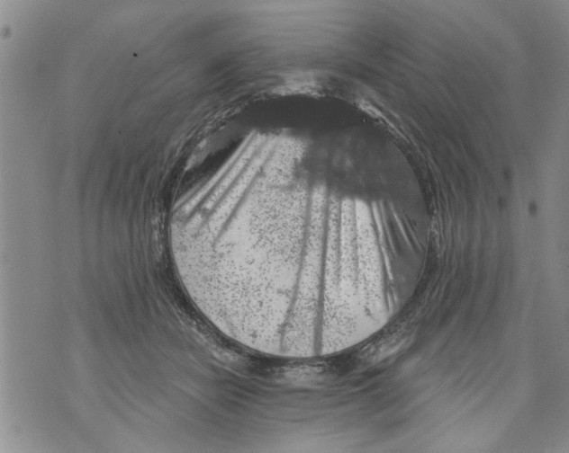 X0000073890462200609082127