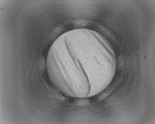 X0000073890463200609082127