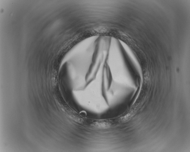 X0000073890464200609082127