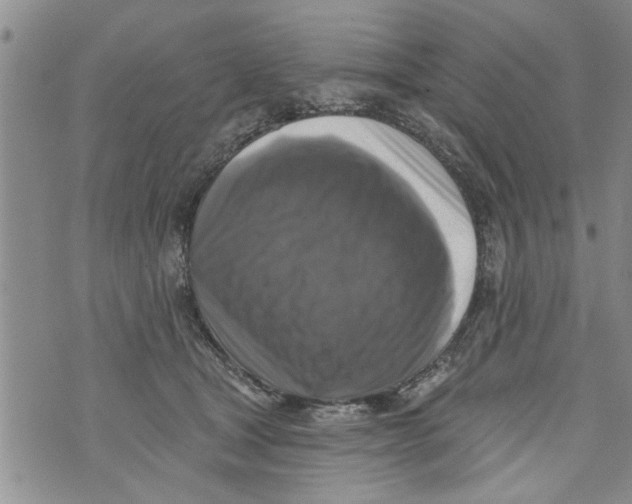 X0000073890465200609082127