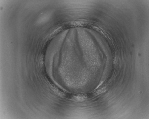 X0000073890466200609082127