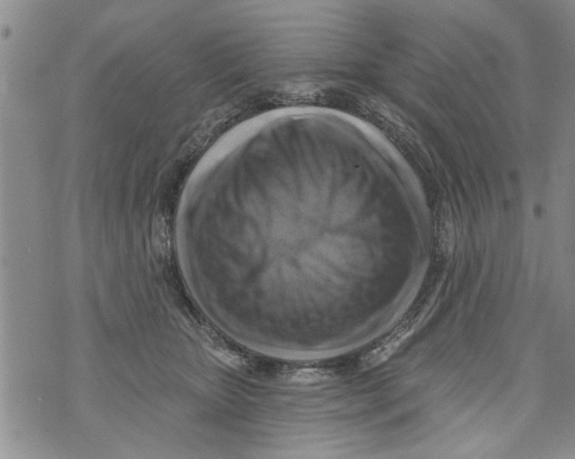 X0000073890467200609082127