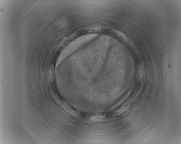 X0000073890468200609082127