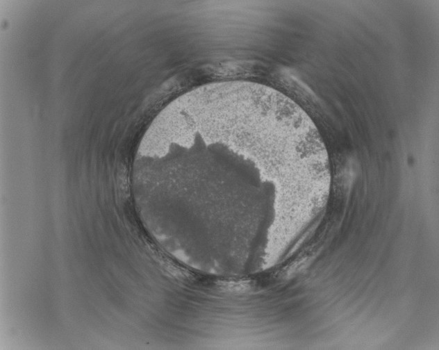 X0000073890469200609082127