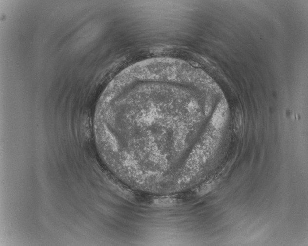 X0000073890470200609082127