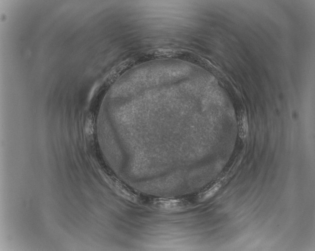 X0000073890472200609082127