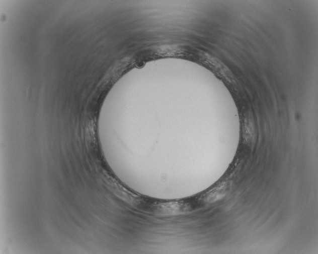 X0000073890473200609082127