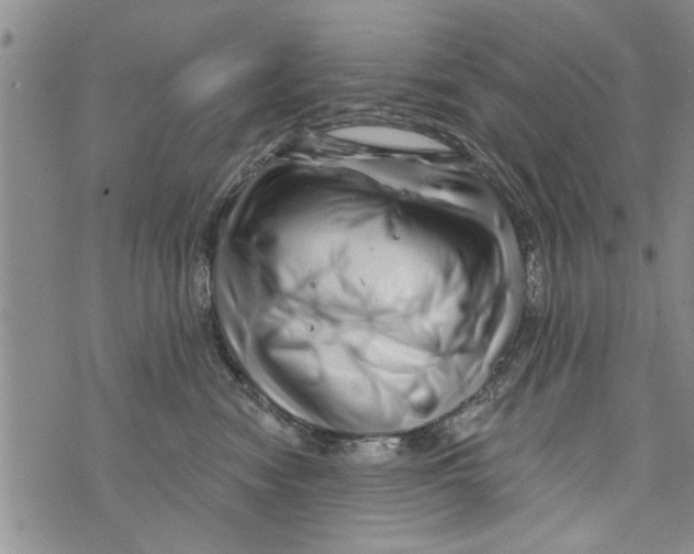 X0000073890474200609082127