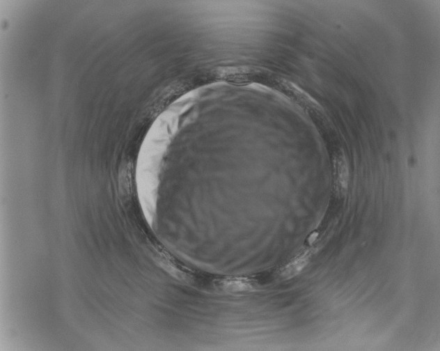 X0000073890475200609082127