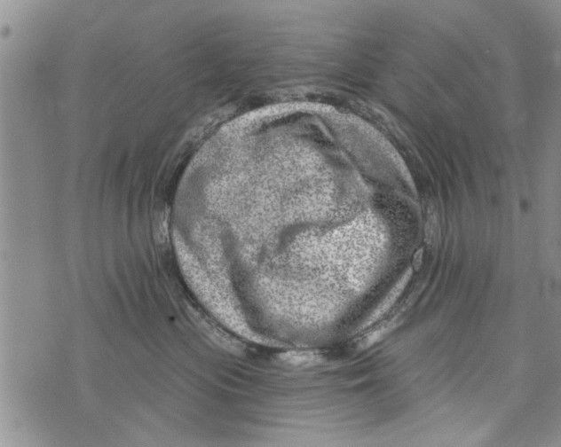 X0000073890477200609082127