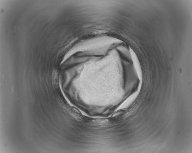 X0000073890480200609082127