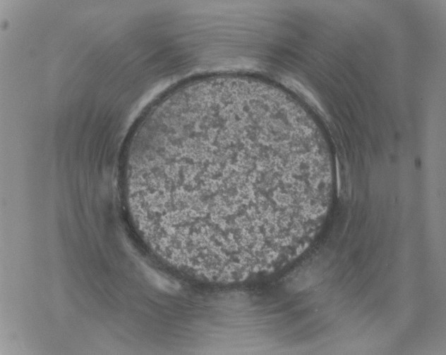 X0000073890483200609082127