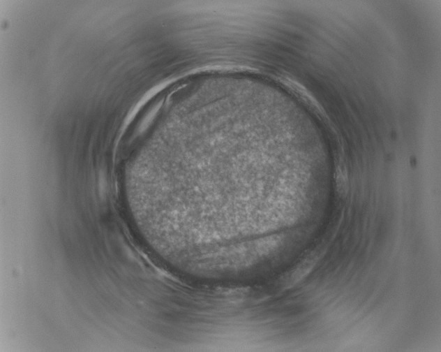 X0000073890484200609082127