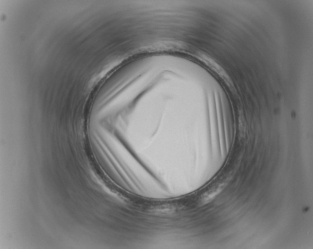 X0000073890485200609082127