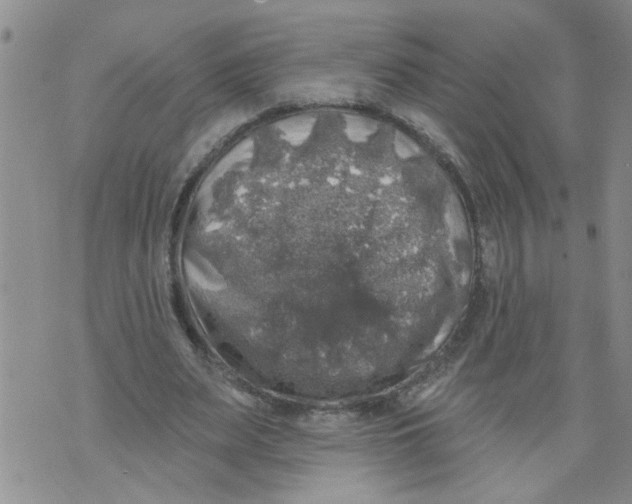 X0000073890487200609082126