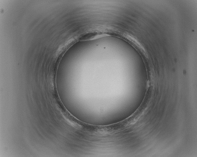 X0000073890489200609082126