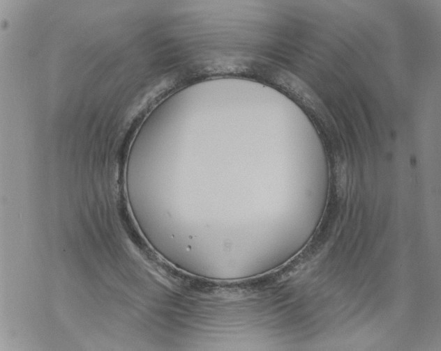 X0000073890490200609082126