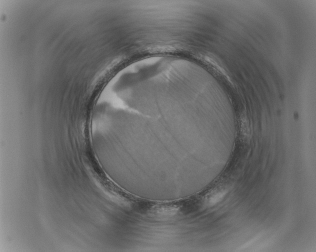 X0000073890491200609082126