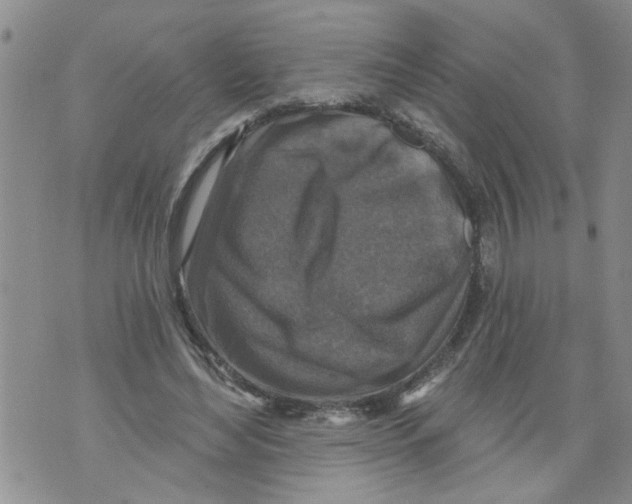 X0000073890492200609082126