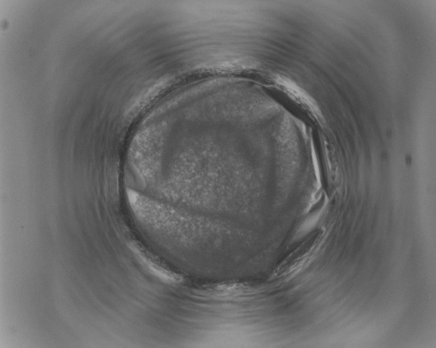 X0000073890493200609082126