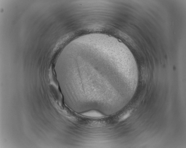 X0000073890494200609082126