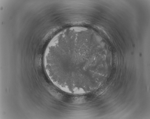 X0000073890495200609082126