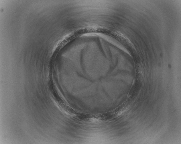 X0000073890496200609082126