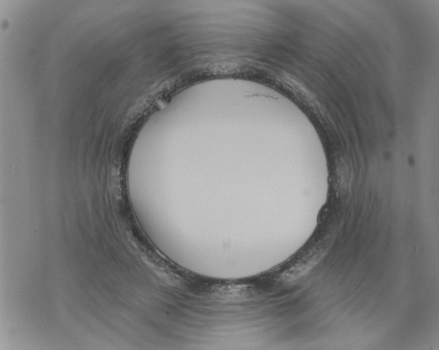 X0000073890497200609082126