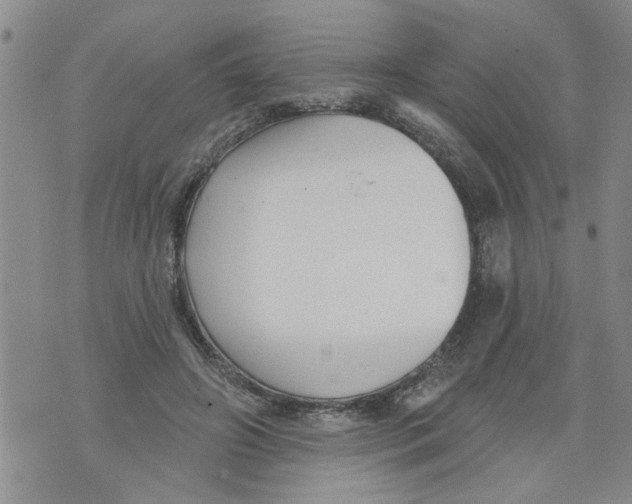 X0000073890498200609082126