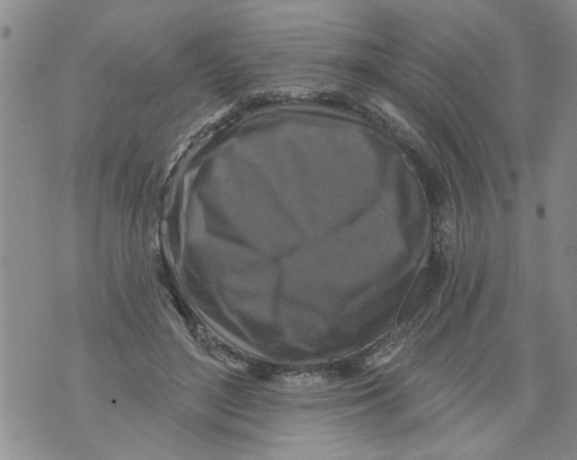 X0000073890500200609082126