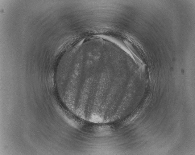 X0000073890501200609082126